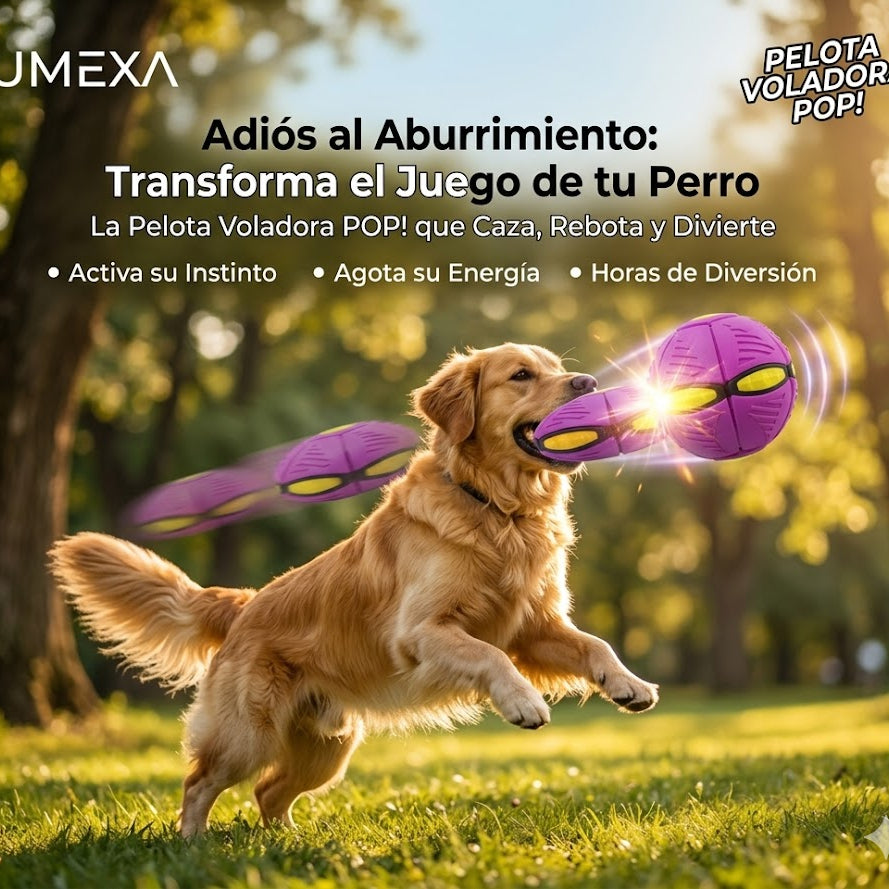 Pelota Voladora POP! Diversion sin limites!