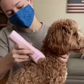 HomeGroomPro®: Máquina Silenciosa + 4 Guías y Accesorios