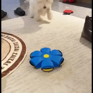 Pelota Voladora POP! Diversion sin limites!